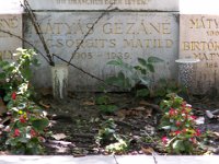 Közép-18 Mátyás család